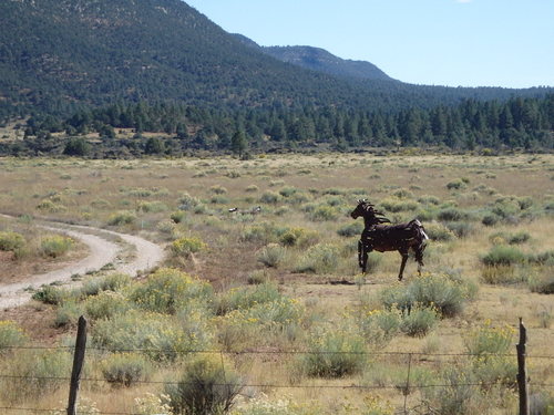 GDMBR: Iron Horse Sculptures (art).